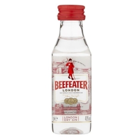 BEEFEATER GINEBRA 5CL
